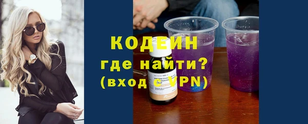 дживик Бородино