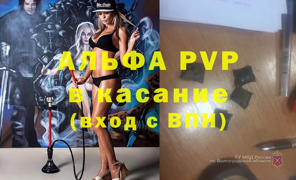 дживик Бородино