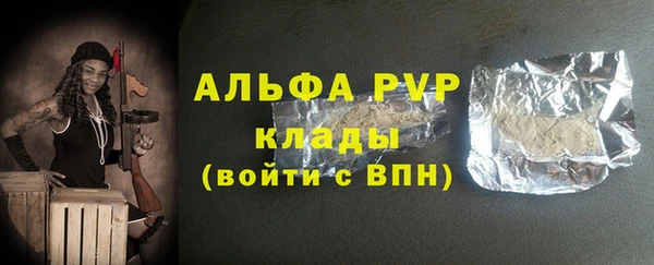 дживик Бородино
