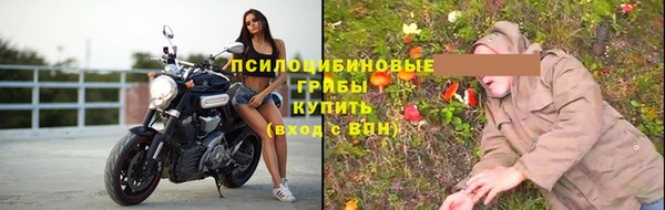 Альфа ПВП Всеволожск
